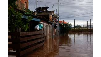 Homem escala portão de casa em Eldorado, Rio Grande do Sul, em meio à enchente