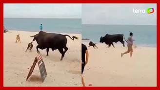 Captan a un toro atacando a personas y perros en una playa de México