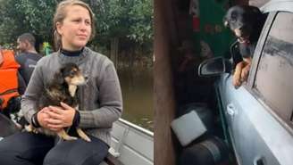 Protetora de animais de RS fala sobre rotina de resgates durante enchentes