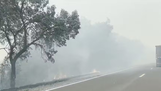 Estrada que liga Campo Grande à Corumbá está tomada de fumaça