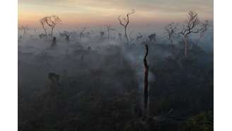Uma visão de drone mostra a fumaça de um incêndio subindo no ar enquanto árvores queimam entre a vegetação do Pantanal, em Corumbá, estado de Mato Grosso do Sul, Brasil, 11 de junho de 2024.