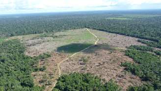 AGU bloqueia R$ 292 milhões em bens de pecuarista por desmatar e queimar a Floresta Amazônica