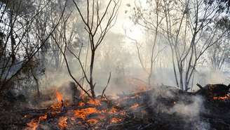 O governador de SP, decretou estado de emergência em 45 cidades do interior devido aos incêndios florestais que vêm assolando a região