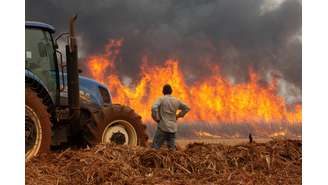 Incêndio em plantação de cana de açúcar em Dumont (SP) 24/08/2024