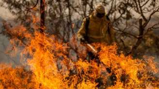 Brigadistas do Instituto Brasília Ambiental e bombeiros do Distrito Federal combatem incêndio em área de cerrado, em Brasília –