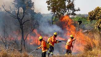 Bombeiros combatem fogo em floresta no Guará (DF) no início de setembro