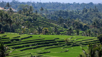 A Paisagem Cultural da Província de Bali: o Sistema Subak, Indonésia