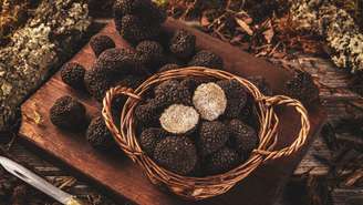 As trufas são fungos subterrâneos raros e altamente valorizados, que crescem em associação com raízes de árvores específicas