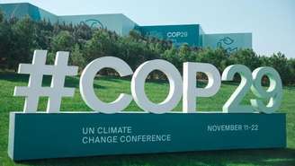 COP29