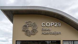 COP29