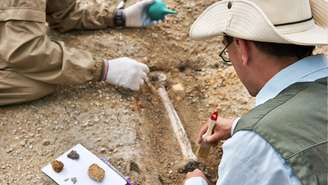 A história dos dinossauros é um vasto campo de estudo que levanta questões sobre como esses gigantes pré