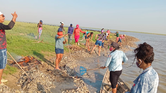 Mortandade de peixes no Igarapé do Costa preocupa ribeirinhos no interior do Pará