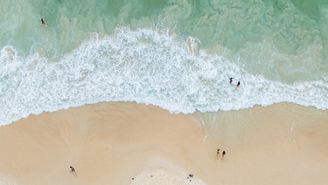 Vai viajar nessas férias? Saiba como identificar se uma praia é ou não imprópria para banho