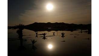 Chuvas inundam a faixa do Sahel, no Deserto do Saara