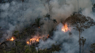 Pará registra maior número de focos de incêndio em 2024