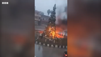 Vídeo mostra árvorecasino brasilchamas enquanto pessoas jogam líquido nela