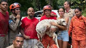 Cão da cantora Anitta é resgatado após fugir na noite de Natal