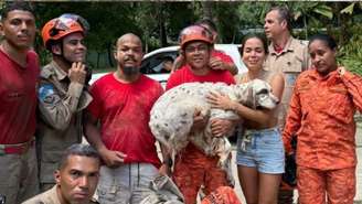 Animal ficou preso na fundação da nova mansão da artista, localizada no Rio de Janeiro, após fugir de casa durante as celebrações de Natal