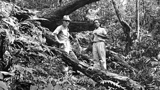 Benedito Lima de Toledo (na foto, à esq.) em expedições realizadas entre os anos 1960 e 1970 na Serra do Mar