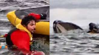 Adrián Simancas levou um grande susto após ser 'abocanhado' e cuspido por baleia durante passeio de caiaque