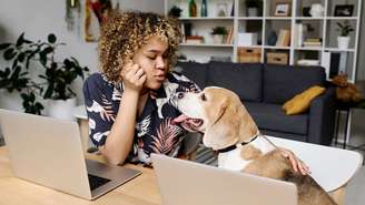 Você sabia que quem conversa com animais, segundo a psicologia, tem traços de personalidade em comum? Descubra quais são eles