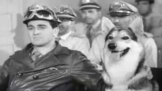 Carlos Miranda, cujo falecimento aos 91 anos foi anunciado recentemente, deixou um legado significativo através deste trabalho icônico