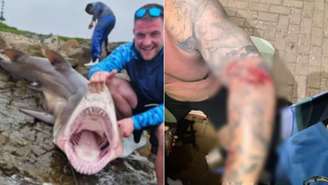 Um incidente impressionante ocorreu na África do Sul quando Curtis Miller, um galês de 30 anos, foi atacado por um tubarão enquanto pescava