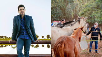 Zezé Di Camargo vai adotar cavalos resgatados
