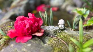 Uma jornada espiritual de 1.200 quilômetros pelos templos sagrados da ilha Shikoku, no Japão; conheça a experiência vivida por Ana Pessoa