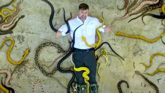 A visita de MrBeast à Ilha das Cobras foi realizada com a autorização do Instituto Chico Mendes de Conservação da Biodiversidade