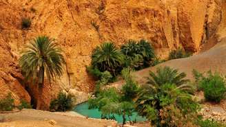 Há milênios que os oásis nos atraem e cativam, oferecendo refúgio ao viajante do deserto com suas piscinas e sombras