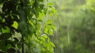 Entenda a conexão entre nosso corpo e a natureza