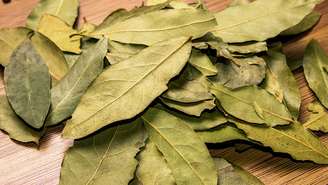 As ervas nos acompanham desde o início das sociedades