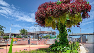 Árvores artificiais plantadas pelo Governo do Pará para receber turistas na COP30