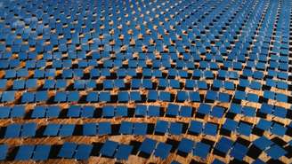 Diferente do que os profissionais pensavam, as placas não afetaram o ecossistema do deserto negativamente, pois elas ajudaram a revitalizá