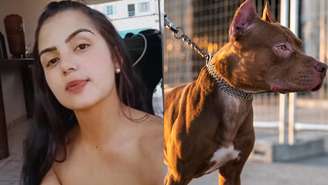 Mulher de 31 anos é morta pelo próprio cachorro
