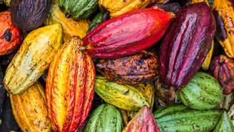 A indústria de cacau enfrenta um cenário desafiador, com uma significativa redução no volume de amêndoas recebidas no primeiro trimestre