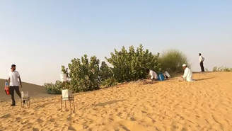 Especialistas atrelam o esverdeamento do deserto ao aumento das chuvas, à agricultura e ao uso consciente dos reservatórios de água