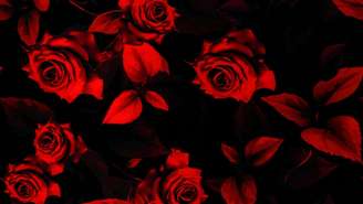 Confira a energias do Baralho de Maria Padilha.