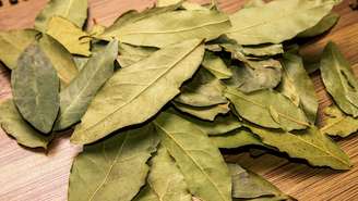 Quer começar o mês com o pé direito? Então aproveite o poder do louro para atrair sucesso e prosperidade para a sua vida.