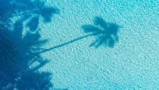 Sonhar com água limpa ou suja pode revelar o estado do seu emocional. Veja os significados e entenda o que esses sonhos querem dizer.