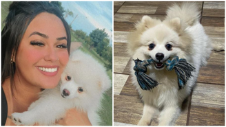 Mulher denuncia ex-companheiro por matar cachorro de estimação a facadas