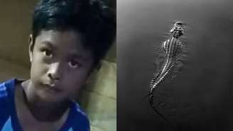 Menino de 13 anos é devorado por crocodilo