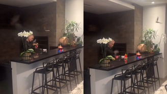 Xuxa cercada por morcegos
