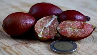 Consumida há centenas de anos na Austrália, fruta exótica é considerada uma "explosão" de sabores e tem valor elevado no Brasil; conheça