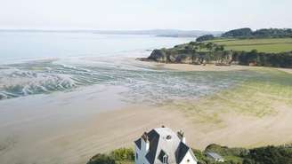 Algas verdes encontradas na Bretanha. Imagem ilustrativa.