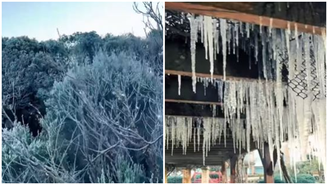 Santa Catarina tem geada e registra -8ºC, menor temperatura do ano