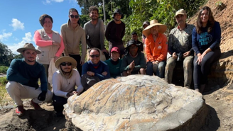Fóssil de tartaruga gigante é encontrado no Acre