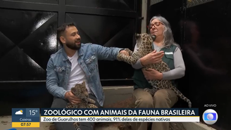 Repórter da Globo é "atacado" por filhote de onça
