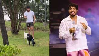 Animal exótico destroi a casa de Nattan; entenda